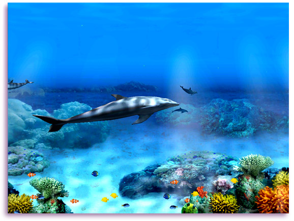 Free animated dolphin screensaver